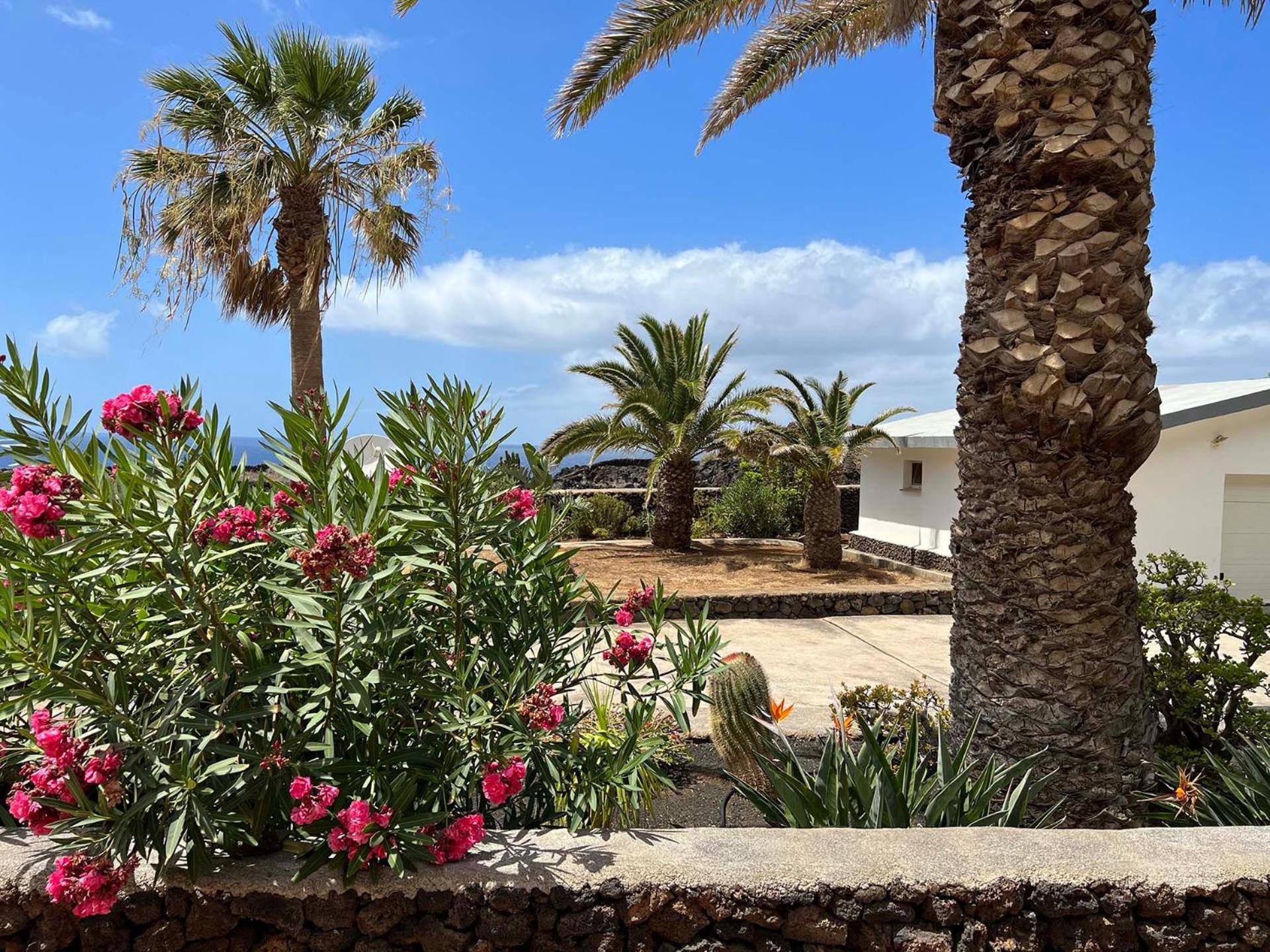Finca Afortunada Las Puntas Rom bilde